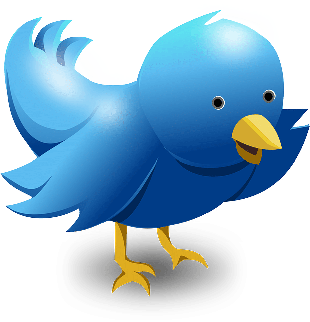 Référencement et Réseaux sociaux
